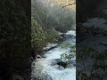 Good morning from the #SmokyMountains 🙂💕 #Winter #Waterfall #Hiking