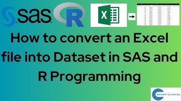Convert an Excel file into a dataset in SAS and R programming.