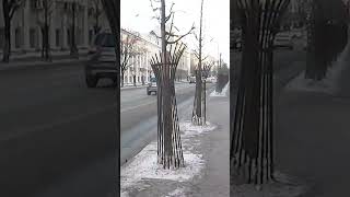 Казань Прогулка/Kazan Walk/Part.13/Декабрь 2023 #Shortvideo #Shortvideos