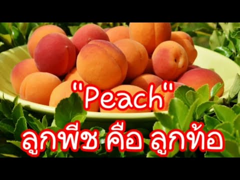 Peach ลูกพีช คือ ลูกท้อ