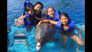 Gonzales Family Dolphin Encounter at Puerto Vallarta, Mexico