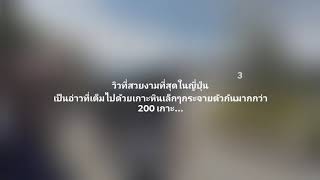 29 August BE 2562