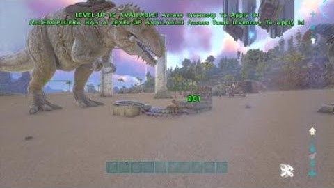 ARK: logic #12