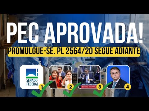 PEC 11 APROVADA!!! Segue para Promulgação. Garantia do Piso na Constituição. 13/07/22.