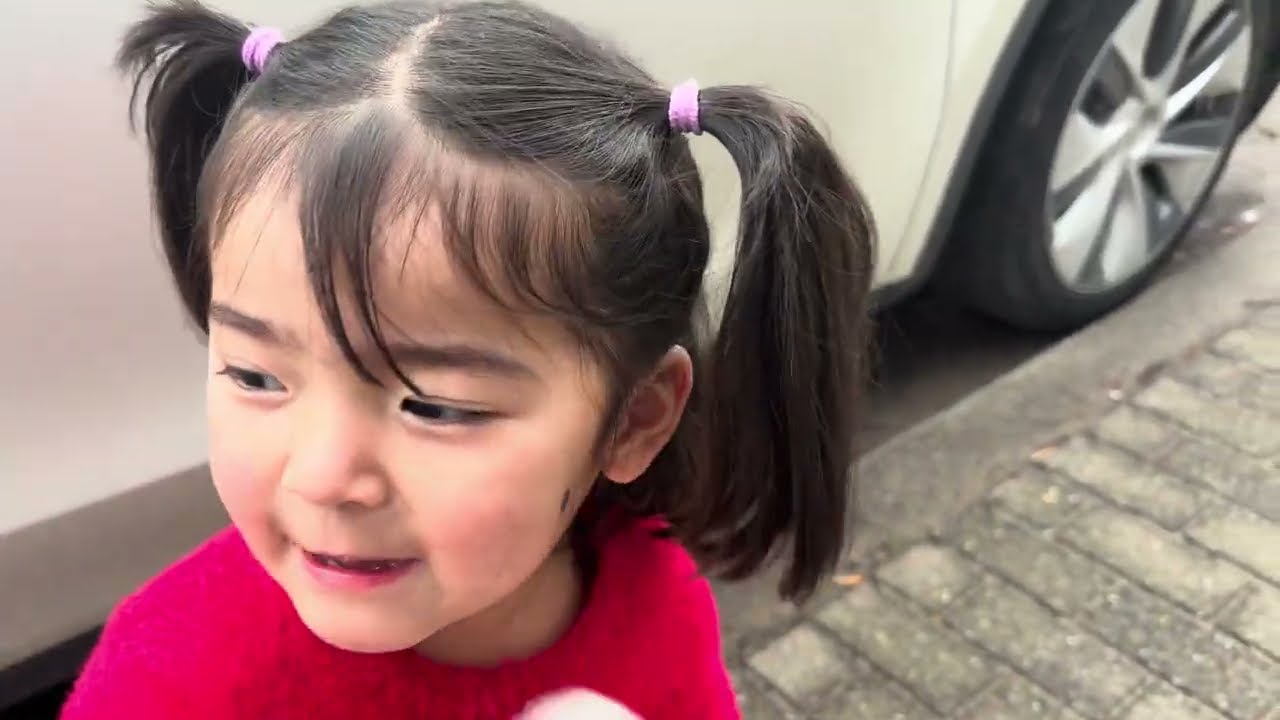 CHOEKYI’S 3rd birthday at school #happy #birthdaycelebration #belgium #tibetanvlogger 