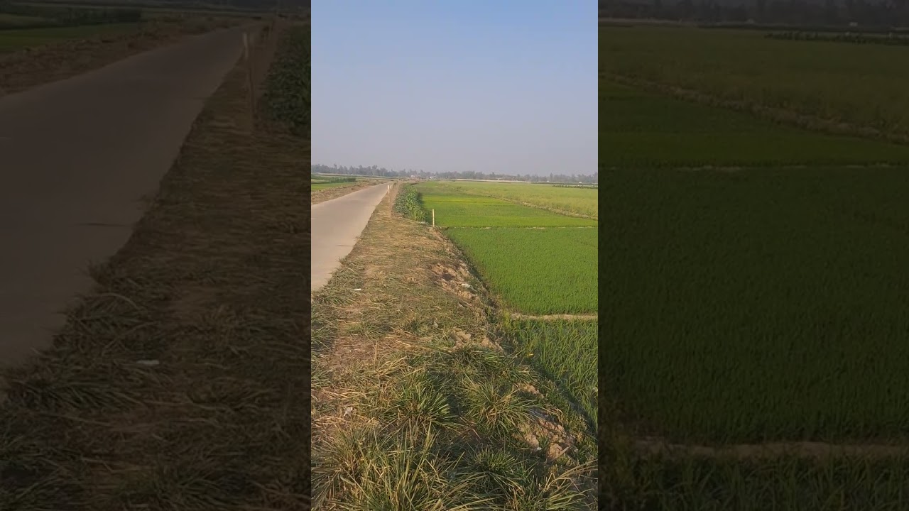 মির্জা আব্দুর রব বুলবুল, স্টাফ রিপোর্টার  এশিয়ান টিভি, তাড়াশ উপজেলার মাগুড়ামুকুন্দ এলাকার খবর। 