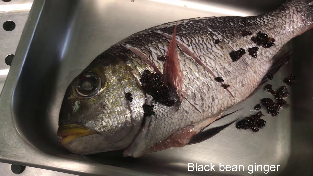 Handpoling a 4lb Mu, 15inch Papio and Huge Invasive Snapper! Insane