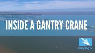 Inside a Gantry Crane: Port of Felixstowe by Shipping TV 3,714 views 3 years ago 2 minutes, 30 seconds