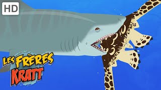 Les Frères Kratt | Taure de tortuga | Épisode Complet | Saison 2