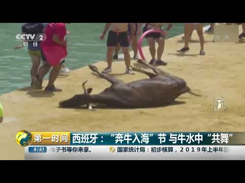 [第一时间]西班牙：“奔牛入海”节 与牛水中“共舞”| CCTV财经