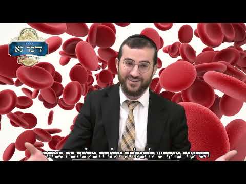 פרשת תולדות | מדוע התורה מדגישה שאברהם הוליד את יצחק 6 הסברים מדהימים | הרב דוד בכר