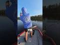 Megabass Pop Max Gets it DONE #bassfishing #topwaterbassfishing #megabass