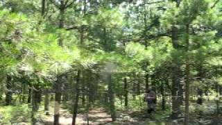 Woodsball - Walkons - 26Jul2009 - 1