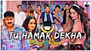 Tu Hamar Dekha - Bhojpuri Lofi • Pawan Singh New Song • Slowed Reverb