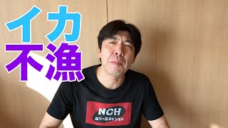 イカが全国的に不漁