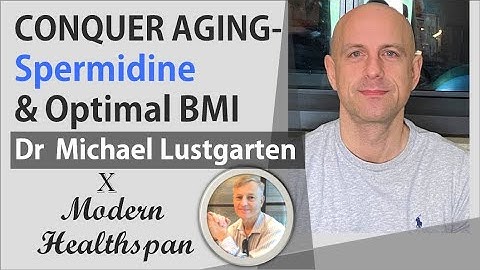 CONQUER AGING Ep5 - Spermidine & Immune Support with Fat | Dr Michael Lustgarten Interview Series