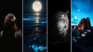 Mobile Phone Wallpapers | 3D Mobile Wallpapers | Best Corner
