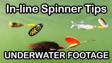 Inline Spinner Fishing Lure Tips and How To Fish Spinners (underwater fishing lures)