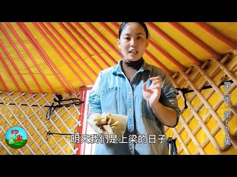 第二季（665）蒙古族宰羊还要看日子？草原人家新房上梁，煮手把肉庆祝！）