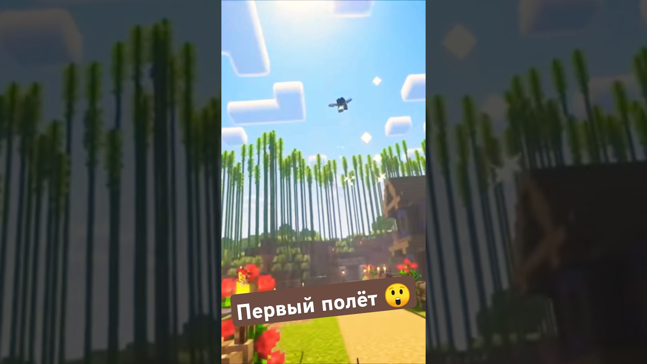 Первый полёт 😲  