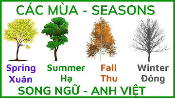 các mùa trong năm bằng tiếng anh | tiếng anh về các mùa trong năm | mùa trong năm bằng tiếng anh