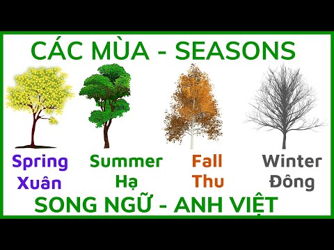 Video các mùa trong năm bằng tiếng anh | tiếng anh về các... - youtube