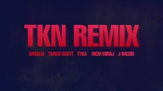 TKN REMIX - Rosalìa & Travis Scott (feat. Nicki Minaj, Tyga & J Balvin)