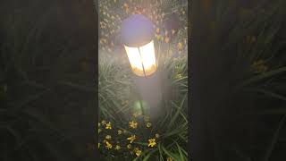 Relaxing Night Garden Light 🌿💡 | Deep Sleep Nature Sounds (No Talking)