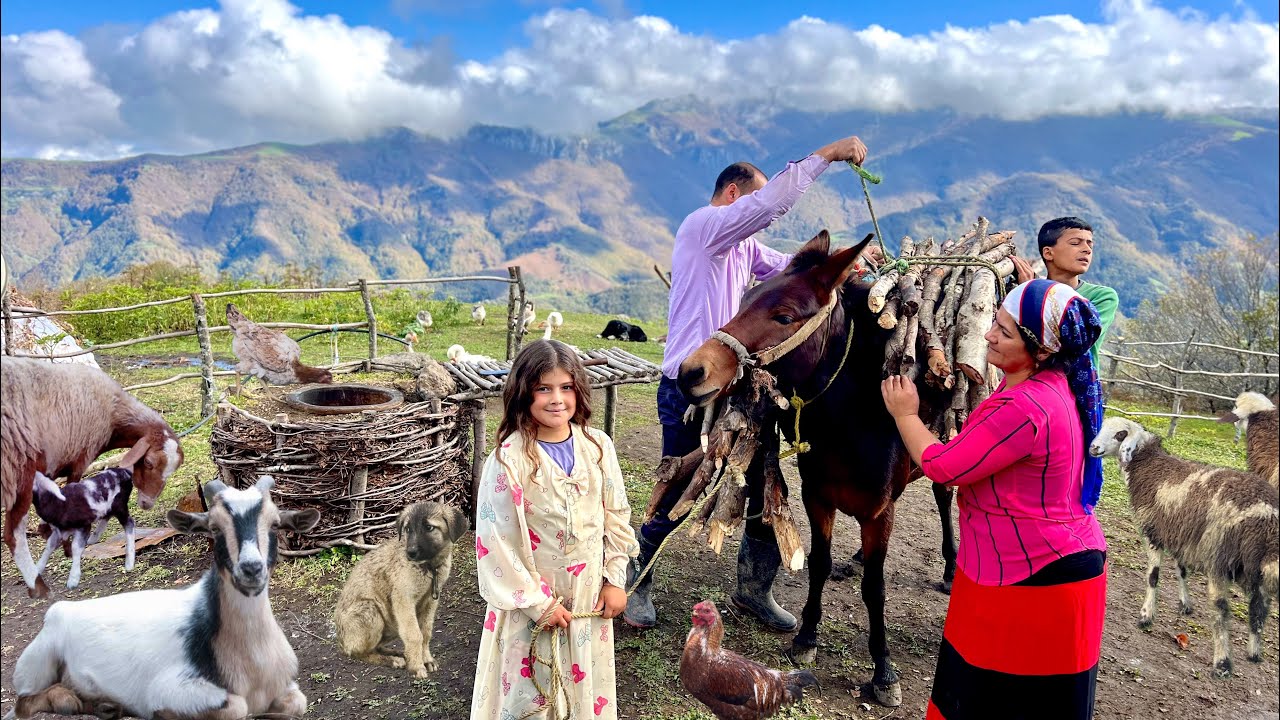 A Strange Mountain Hunt | Cooking a Royal Meal with Fresh Local Bread