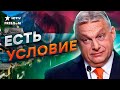 Венгрия ПОМЕШАЕТ Украине? С Орбаном можно ДОГОВОРИТЬСЯ, но…