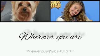 Wherever You Are Lyrics - Pup Star