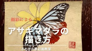 アサギマダラの描き方 - YouTube