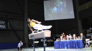 Adrian de los Angeles - Pommel Horse - 2012 Winter Cup Finals