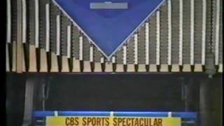 1979 PBA Houston Open