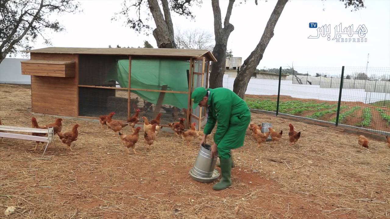 حياة جديدة لذوي الإعاقة داخل المركز الوطني محمد السادس