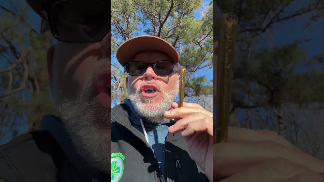 Golden Luxe 24k Gold Pre Rolls Are They Worth It 🤔