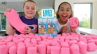 LOST KITTIES HIDE AND SEEK CHALLENGE!! LOST KITTIES HIDE AND SEEK CHALLENGE!!