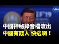 一條影片內容涉一份疑中共經濟高官關於中共經濟政策的聲音文件內容。網民用習口型惡搞播出「中國神秘錄音檔流出，有錢人 快逃啊！」| #香港大紀元新唐人聯合新聞頻道