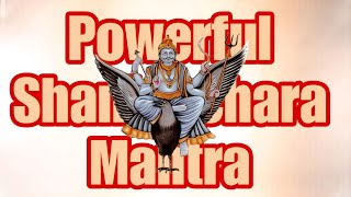 Powerful Shanishchara Mantra - Nilanjan Samabhasam 108 Times || Lyrical || Mp3 ||