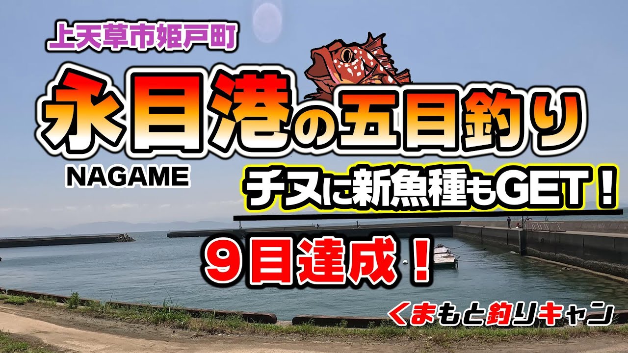 【上天草姫戸町永目港の五目釣り】初の港で堤防五目釣り！チヌに新魚種も釣れて大満足の釣果！
