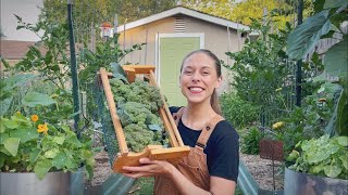 Spend The Day With Me!  Harvesting, Blanching, & Freezing Broccoli, Succession Planting & More!