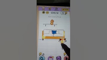 Burn everything brain test 50 Level