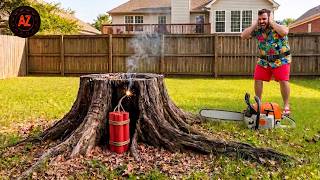 Idiots With Chainsaws: Tree Cutting Fails | Extreme Dangerous Logging Truck Fails #54