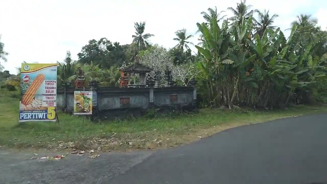 melihat lebih dekat desa tangguntiti serampingan sampai pertigaan sortcut megati tabanan bali