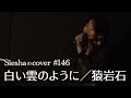 白い雲のように/猿岩石【Sieshaのcover #146】