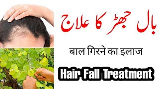 How To Stop Hair Fall Naturally Simple Home Remedies To Prevent Hair Loss Beri Ke Patton Se Ilaj