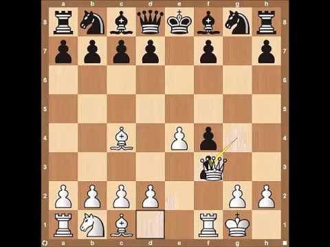 7 افتتاحيات شرسة chess opening