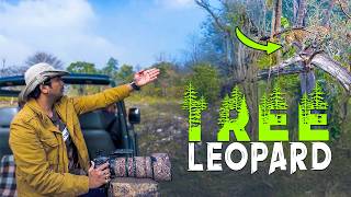 Download Lagu I Returned to Rajaji Tiger Reserve after 33 Months and Found This MP3