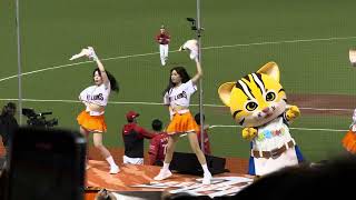 8局下2025.4.12 CPBL中華職棒36年例行賽 台北大巨蛋棒球場 味全龍 vs 統一獅 台日雙獅10週年 統一獅UniGirls x 埼玉西武獅bluelegends聯合演出 8局下啦啦隊應援