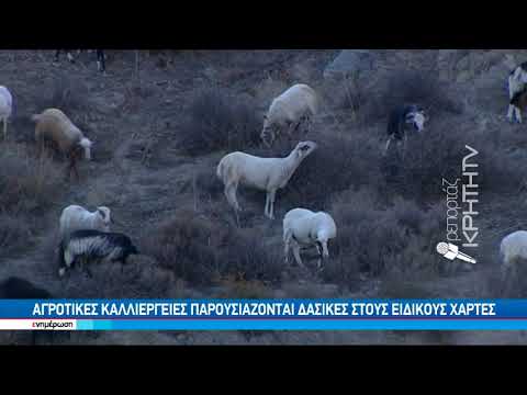 Οι δασικοί χάρτες και τα προβλήματα απο τον σχεδιασμό
